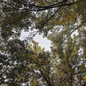 Meet your Posher, Lucia